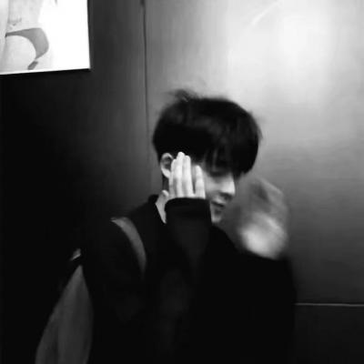 Furry插画风格打造兽圈群